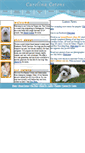 Mobile Screenshot of carolinacotons.com